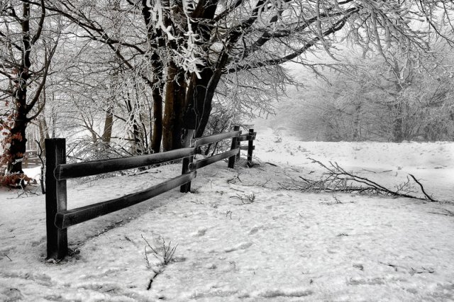 209_steccato sottozero_tema libero